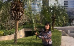 在线观看免费视频污网站